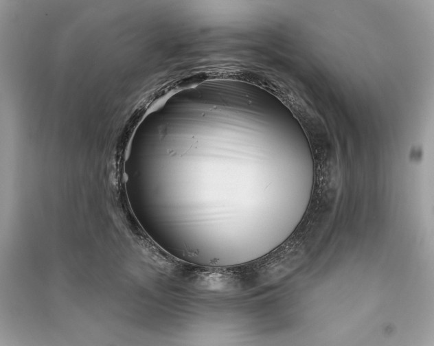 X0000090870755200708101333