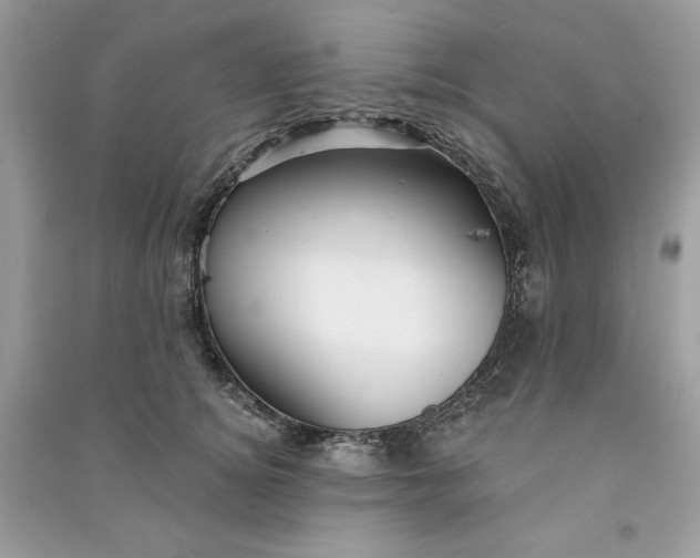 X0000090870756200708101333