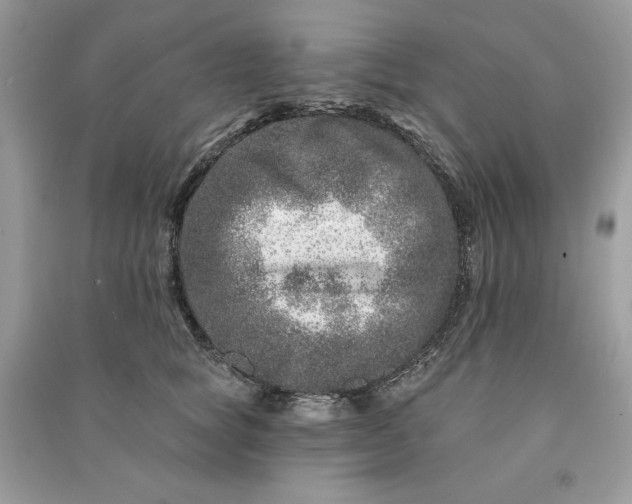 X0000090870757200708101333