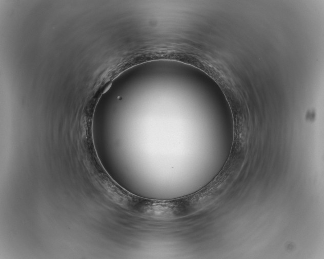 X0000090870758200708101333