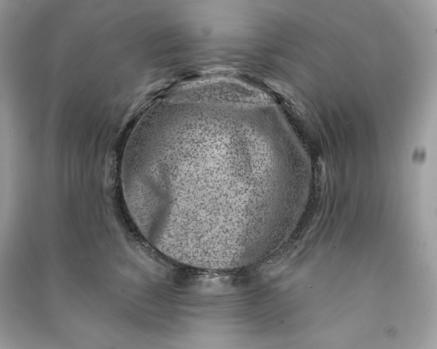 X0000090870760200708101333