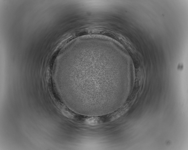 X0000090870761200708101334