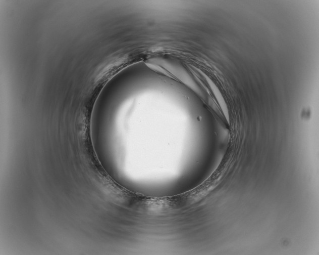 X0000090870762200708101334