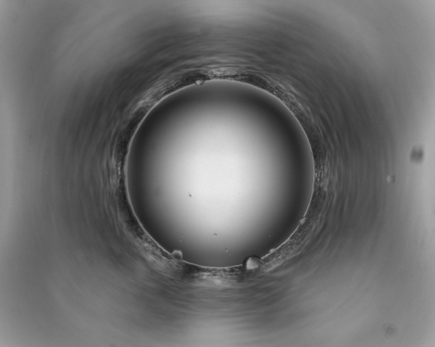 X0000090870763200708101334