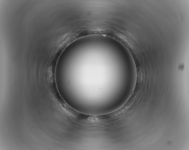 X0000090870764200708101334