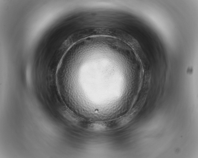 X0000090870765200708101334