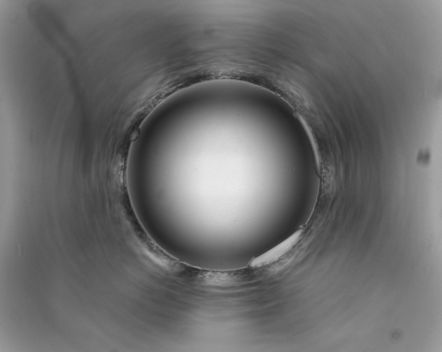 X0000090870766200708101334