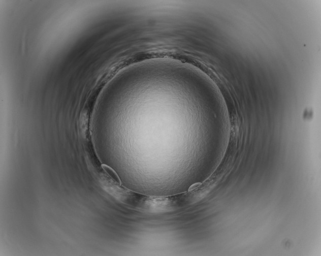 X0000090870767200708101334