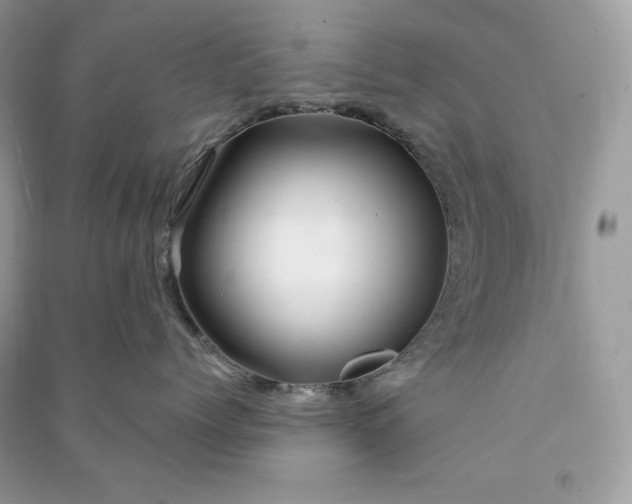 X0000090870768200708101334