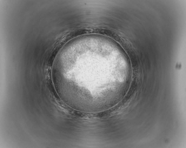 X0000090870770200708101333