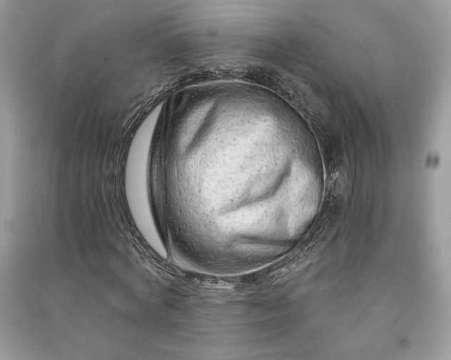 X0000090870772200708101333