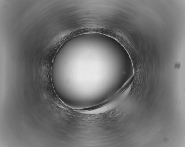 X0000090870773200708101333