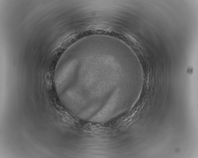 X0000090870774200708101333