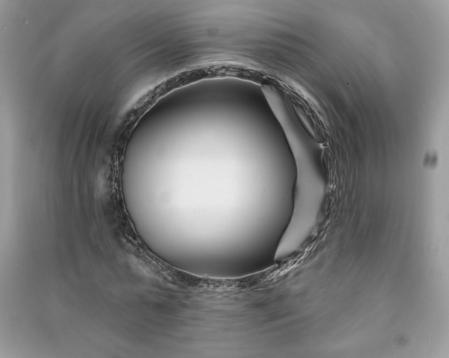 X0000090870775200708101333