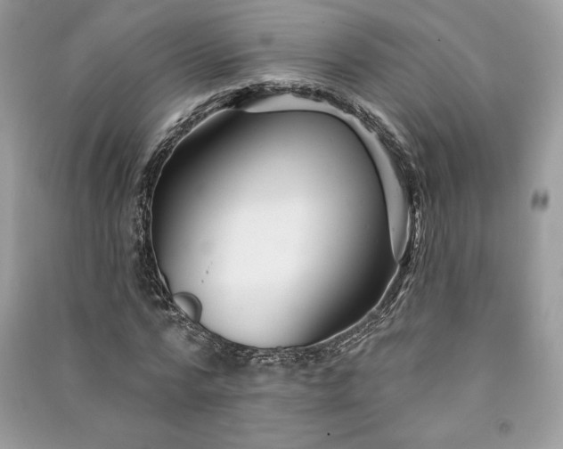 X0000090870776200708101333