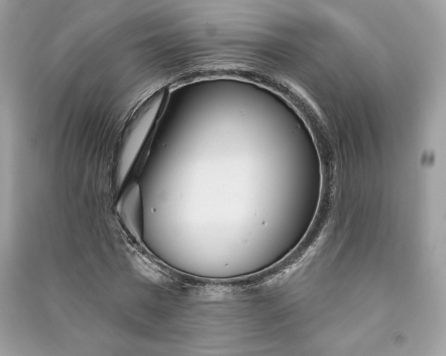 X0000090870777200708101333