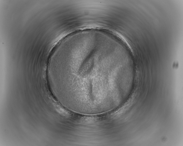 X0000090870778200708101333