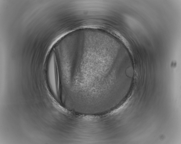 X0000090870779200708101333