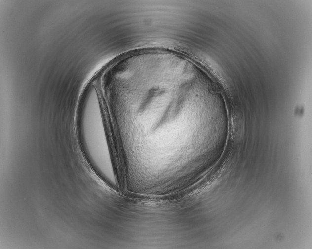 X0000090870780200708101333