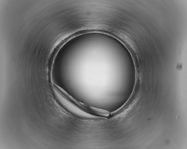 X0000090870781200708101333