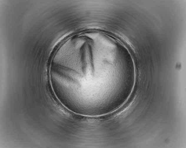 X0000090870782200708101333