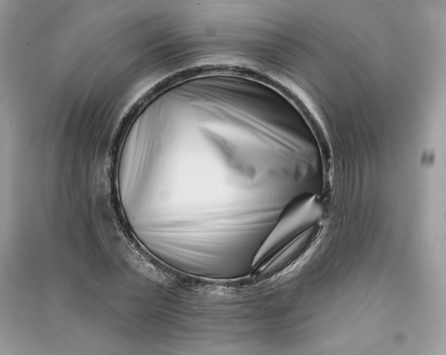 X0000090870783200708101333