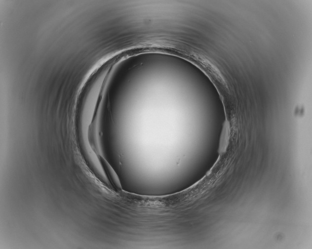 X0000090870784200708101333