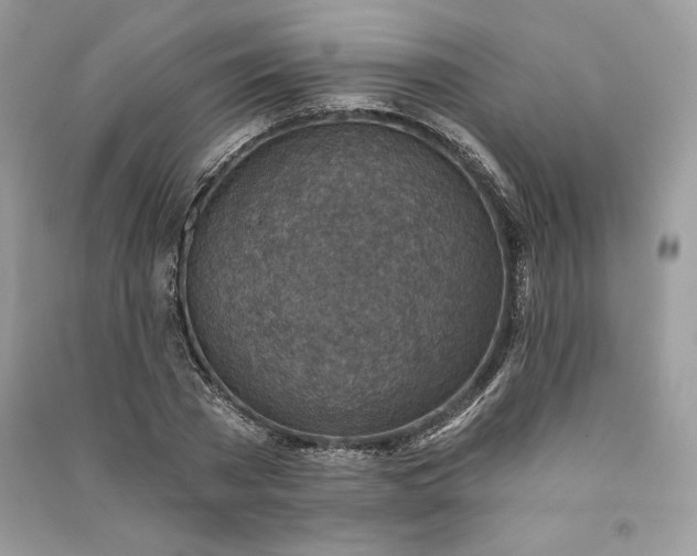 X0000090870785200708101333