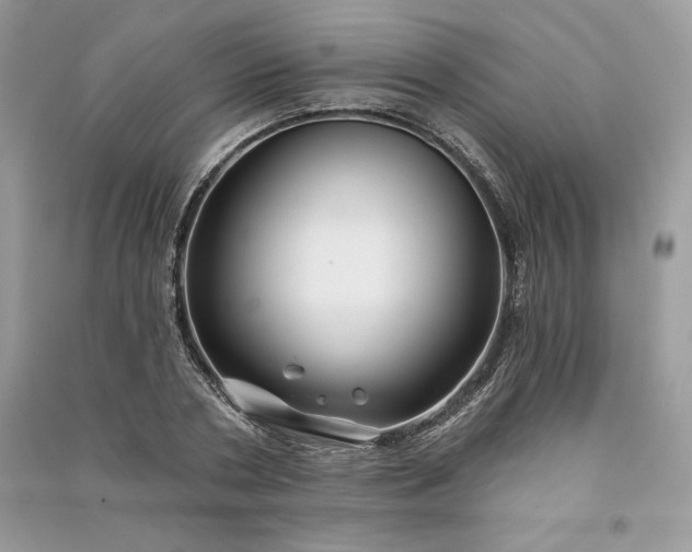 X0000090870786200708101333