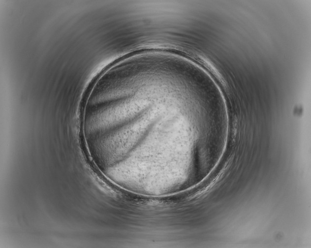 X0000090870787200708101333