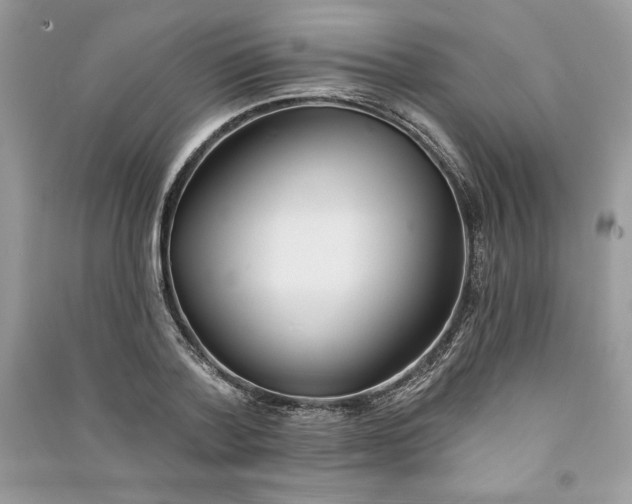 X0000090870788200708101333