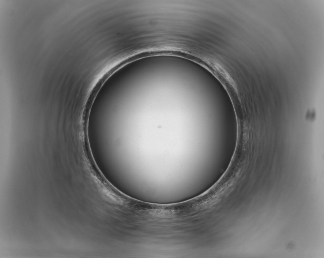 X0000090870789200708101333