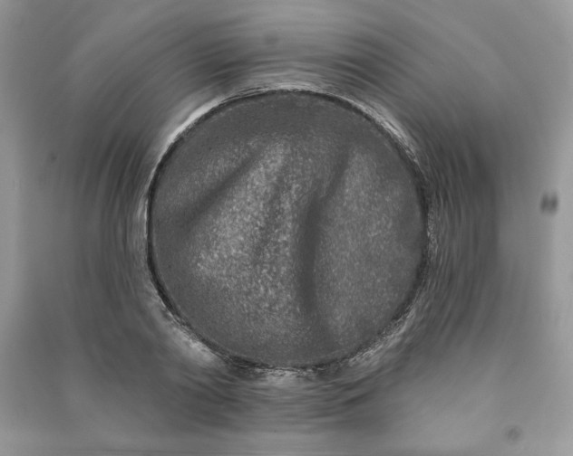 X0000090870790200708101333