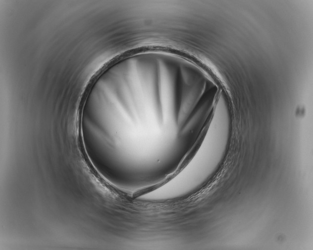 X0000090870791200708101333