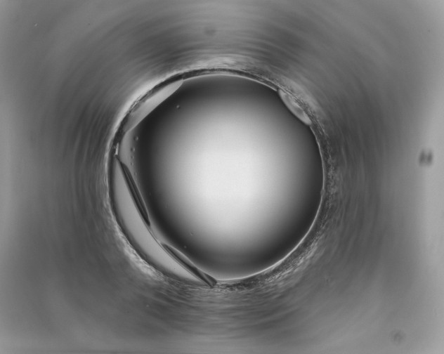 X0000090870792200708101333