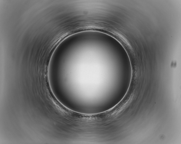 X0000090870793200708101333