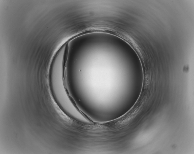 X0000090870795200708101333