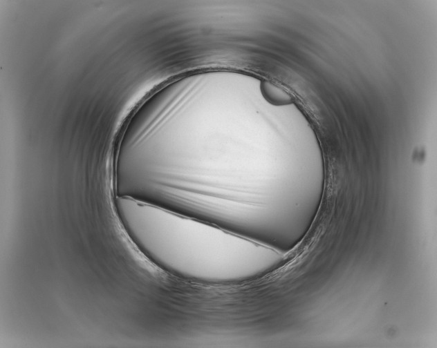 X0000090870796200708101332