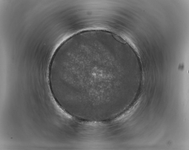 X0000090870797200708101332