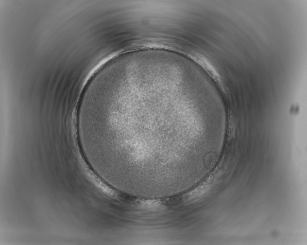 X0000090870798200708101332