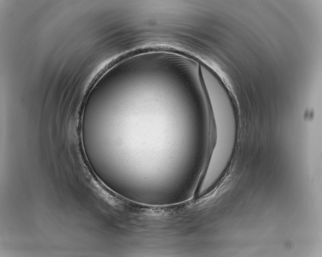 X0000090870799200708101332