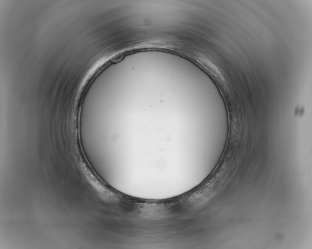 X0000090870800200708101332