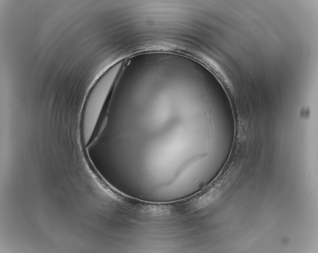 X0000090870802200708101332