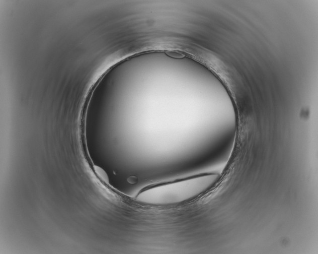 X0000090870803200708101332