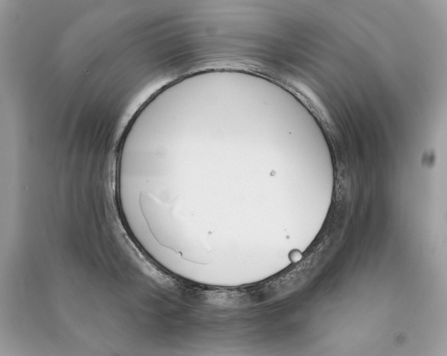 X0000090870804200708101332