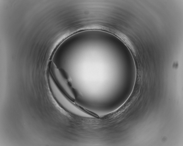 X0000090870805200708101332