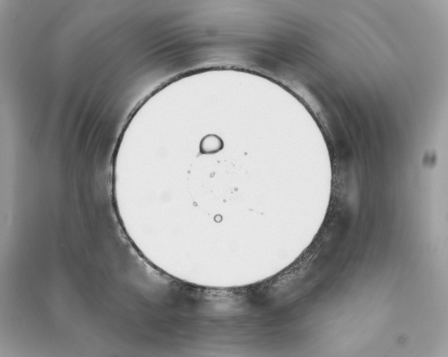 X0000090870807200708101332