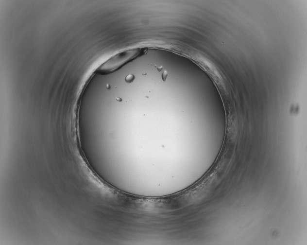 X0000090870808200708101332