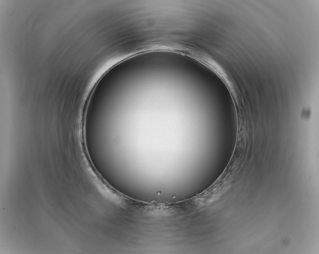 X0000090870811200708101332