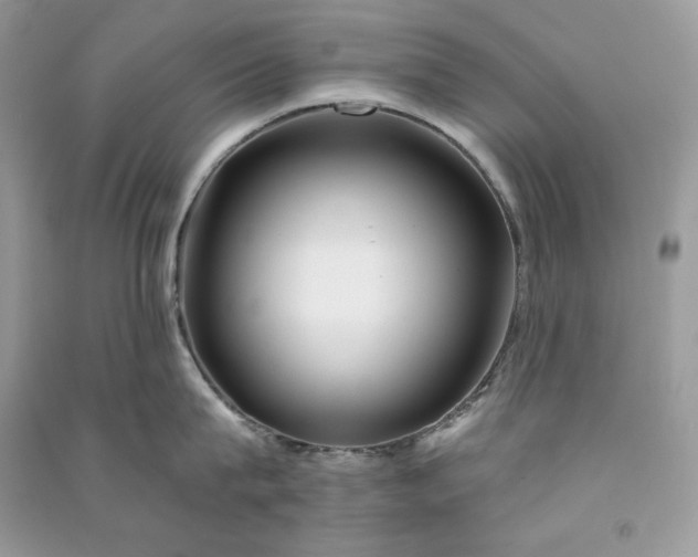 X0000090870815200708101332